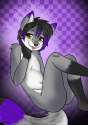 fa1f73b784a793633f732d41aefb755c.png
