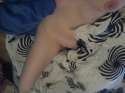 DSC01148.jpg
