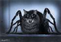 MeowMeowMotherfucker.jpg