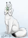 92_1409510436.catnamedfish_thara_small.jpg