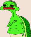 Feels Turtle.png