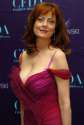 Susan-Sarandon-Bob-Job-Before-and-After.jpg