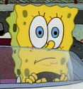 sponge1.png