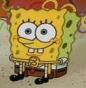 sponge7.png
