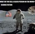 niggerscan'tmoon.jpg