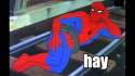 hay.jpg