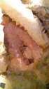 triangulated-image (1).png