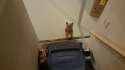 20160401_002946.jpg