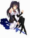 Noire214.jpg