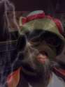 electriccamoman.png