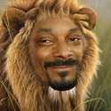 snoop-lion-literally.jpg
