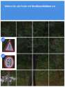 wot.png