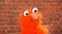 Cocknose.png