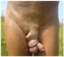 dick_knot.jpg
