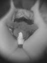 6o1_1280.jpg