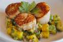 scallops.jpg