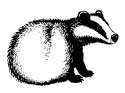 badgerball.jpg