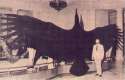 Argentavis-Magnificens.jpg