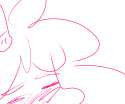 pinis.png