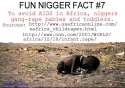 Fun+nigger+facts_19d550_4999618.jpg