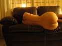 DSC00962.jpg