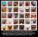 types-of-pussy-4chan.jpg