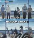 harlemshake.jpg