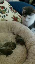 image.jpg