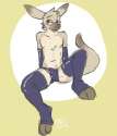 kangaroo-furry-29.jpg