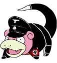 nazipoke.jpg