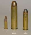 Munition_.460_S&W_Magnum.jpg