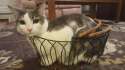 IMG-20160331-WA0005.jpg