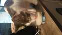 IMG-20160327-WA0006.jpg