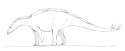 Wuerhosaurus.png