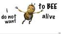 1012585_892040487577578_4133324722697024332_n.jpg