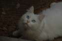DSC_8671.jpg