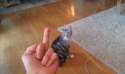 IMAG0366.jpg