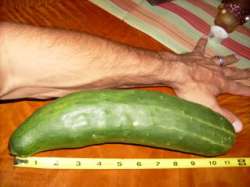 miscpics011.jpg