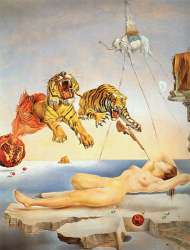 dali1.jpg