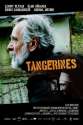 Tangerines.jpg