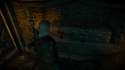 witcher3 2015-12-27 13-32-11-947.png