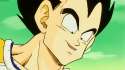 Vegeta8.gif