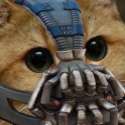 bane.jpg