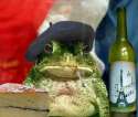 france 3.jpg
