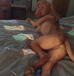 doge.jpg