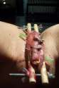 1450309941656.jpg