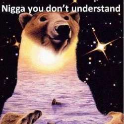 nigga you don't understand.jpg