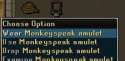 Monkeyspeak_amulet-1.jpg