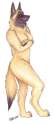 17_Korrok_1118093233_tolga.jpg