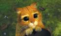 a mexican cat wearing cowboy boots with a small man complex, remind you of anything.jpg